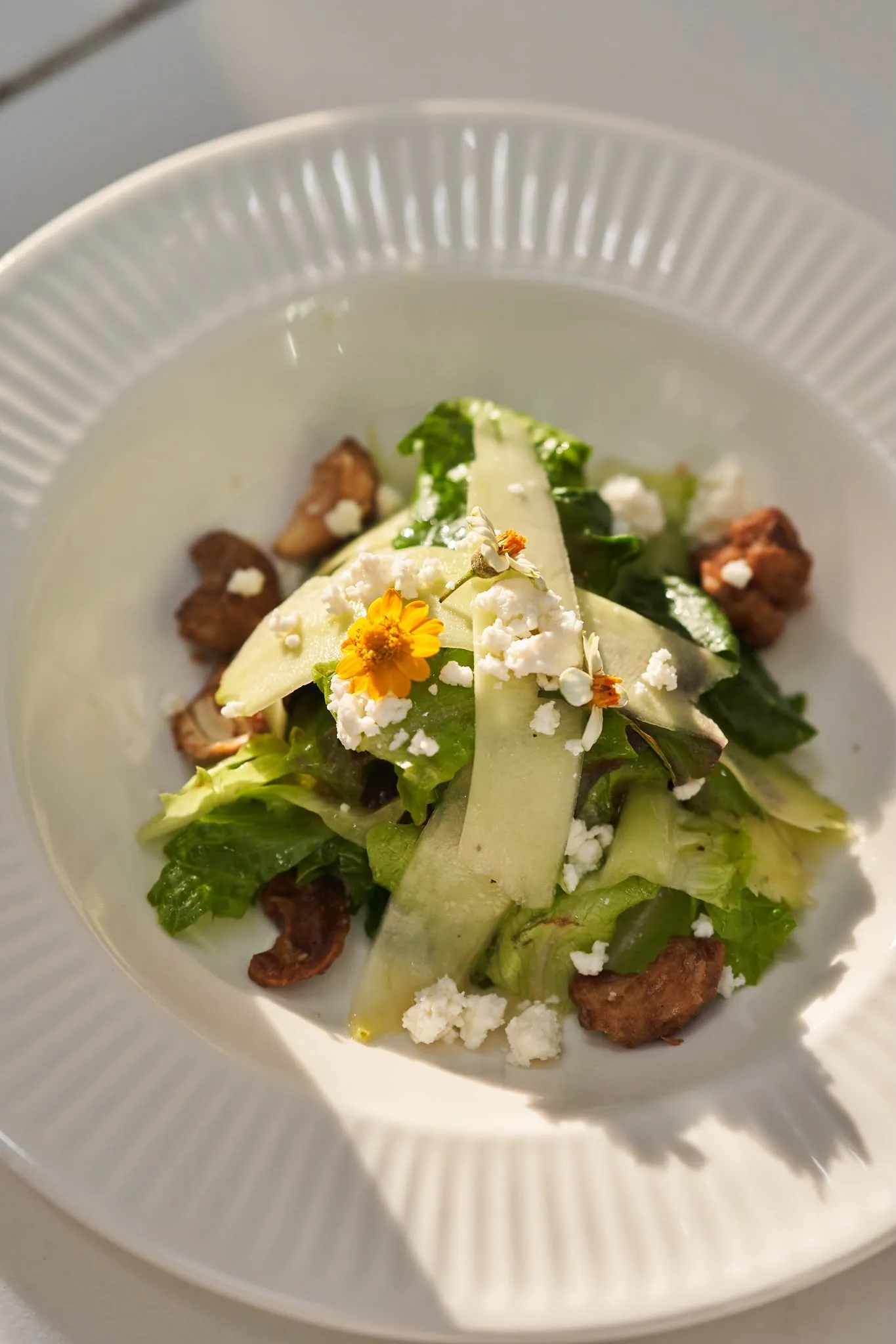 Salad with shaved cheese and crisp bread